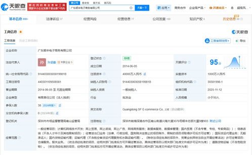 廣東順豐電子商務公司完成大幅增資，注冊資本躍升至4億元，發力國內貿易代理業務