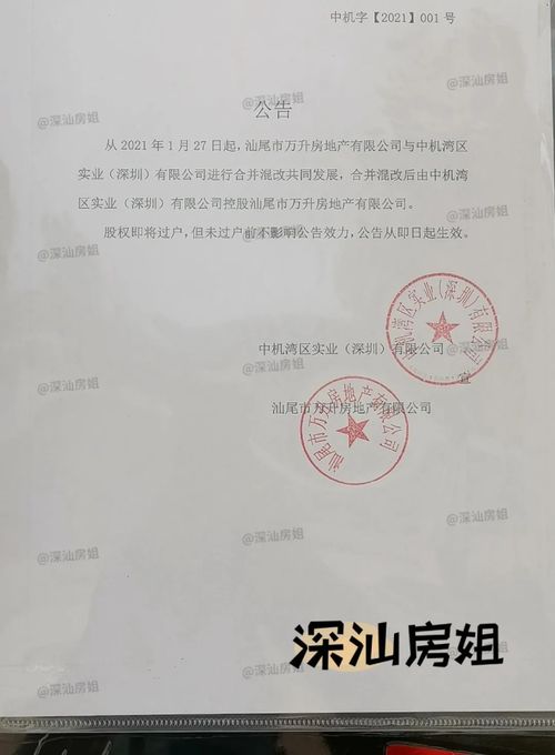 重磅！汕尾高鐵站旁萬升廣場或將易主，國內貿易代理或成新起點